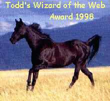 Todd's Wizard of the Web Award